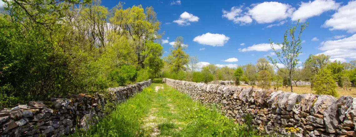 Mur de pierres sèches bordant un chemin sur le causse